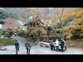 南房総「小松寺」紅葉散策