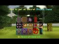 All secret blocks and items in minecraft bedrock  mcpe