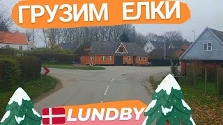 56. ДАНИЯ ☁ ЗАГРУЗКА ЕЛКАМИ. SCANIA 🎄 SOBA UK