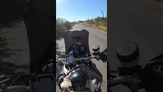 Smokie  Greatest Hits