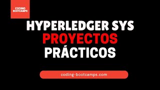 Administración de Hyperledger Fabric V2: Curso Proyectos