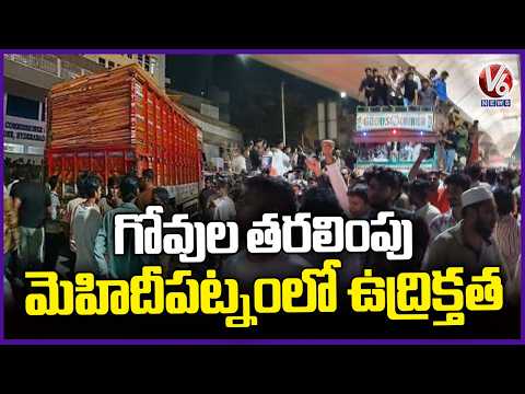 High Tension In Mehdipatnam Alleged Cow Transportation | V6 News - V6NEWSTELUGU