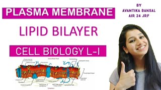 Lipid Bilayer Part 1|Cell Biology L- I||Plasma membrane| Types of lipid in membrane|Asymmetry|