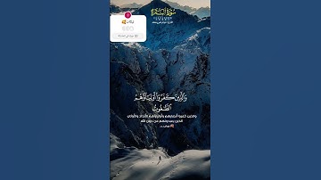 القارئ عبدالرحمن مسعد #عبدالرحمن_مسعد #قرآن #القرآن_الكريم #اكسبلور #القرآن_الكريم #لايك #راحة_نفسية