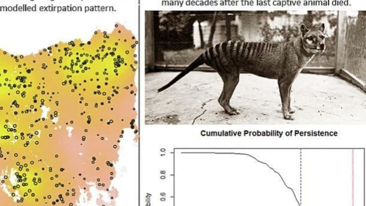 7 Extinct Animals That Humans Erased Forever
