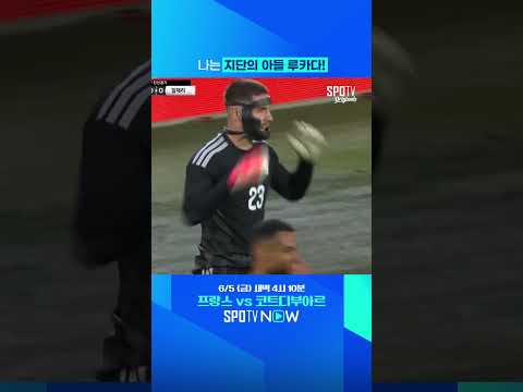 수상할 정도로 지단을 닮은 골키퍼