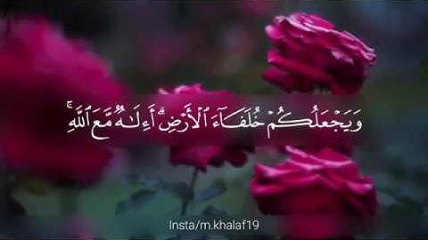 تلاوة خاشعة تريح القلب والنفس من القرآن الكريم   ايات يطمئن لها القلب
