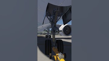 This Flight Simulator Is So Realistic 🤩