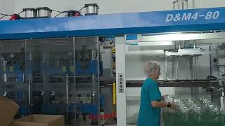 DM4-80 Four station full automatic plastic packaging box forming machine in Uzbekistan