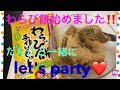 だんごと一緒にわらび餅作ろうよ！子供も大人も楽しめちゃう簡単cooking！！