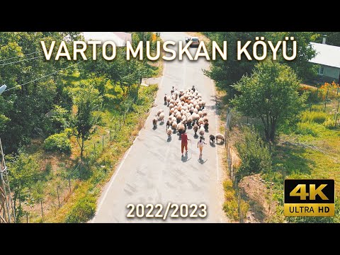 VARTO MUSKAN KÖYÜ - 2022/2023 (DRONE VIDEO) 4K