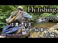 【フライフィッシング】2020.8 信濃の渓流／師匠と絶景の秘境でFlyfishing／前編