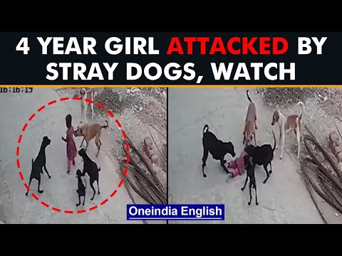 Bhopal: 4 year old attacked by stray dogs, incident caught on CCTV| Oneindia News
