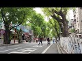 广州漫步 春日的早上在前进路附近漫步 Walk in GuangZhou