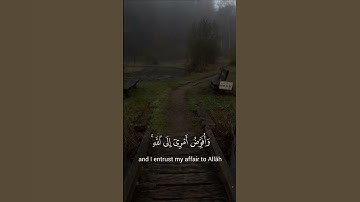 وافوض امري الى الله 🍂l عبد الباسط عبد الصمد l قران كريم