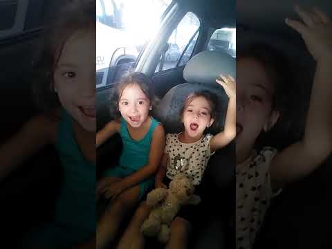 İkiz kızlar arabada şarkı söylüyor
