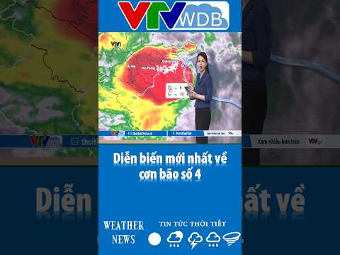 Diễn biến mới nhất về cơn bão số 4 | VTVWDB