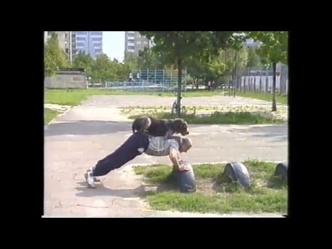 Универсальная Собака, породы дратхаар.