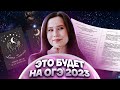 Прогноз на ОГЭ-2023. Что будет на экзамене? | Русский язык ОГЭ | Умскул