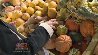 People Are Talking: Baltimore Farmers' Market