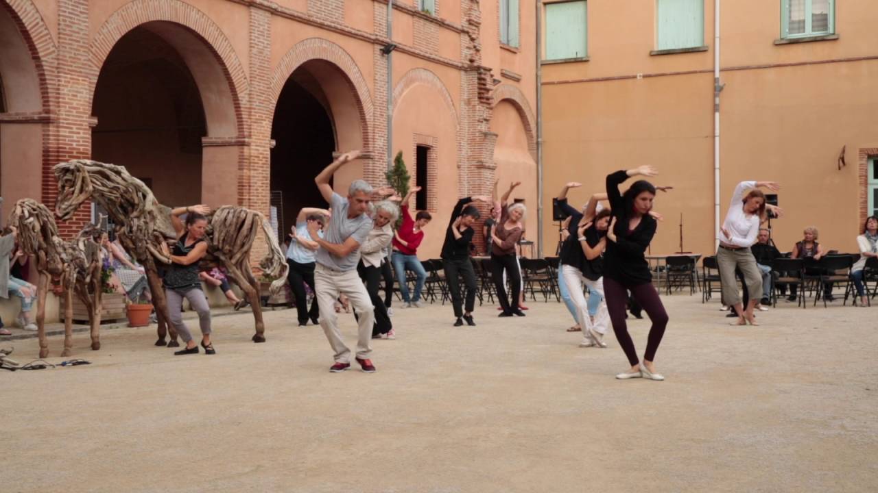 Le Qi Gong de la Grande Danse. Frédéric Volle - Mouvement et Fluidité à Montauban.