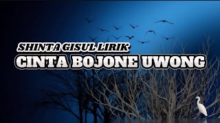 CINTA BOJONE UWONG || SHINTA GISUL - LIRIK LAGU