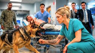 K9 Blocked Every DOCTOR — Until a ROOKIE NURSE’S Tattoo Revealed Her MILITARY Skill