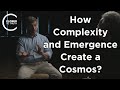 Neil Theise - How Do Complexity and Emergence Create a Cosmos?