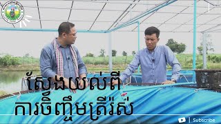 Agriculture នាទីកសិកម្ម/ការចិញ្ចឹមត្រីរ៉ស់