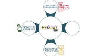 ExtendSim Net Worth
