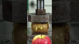 Hydraulic Press vs Kiwi 🥝 | Satisfying Crush Experiment