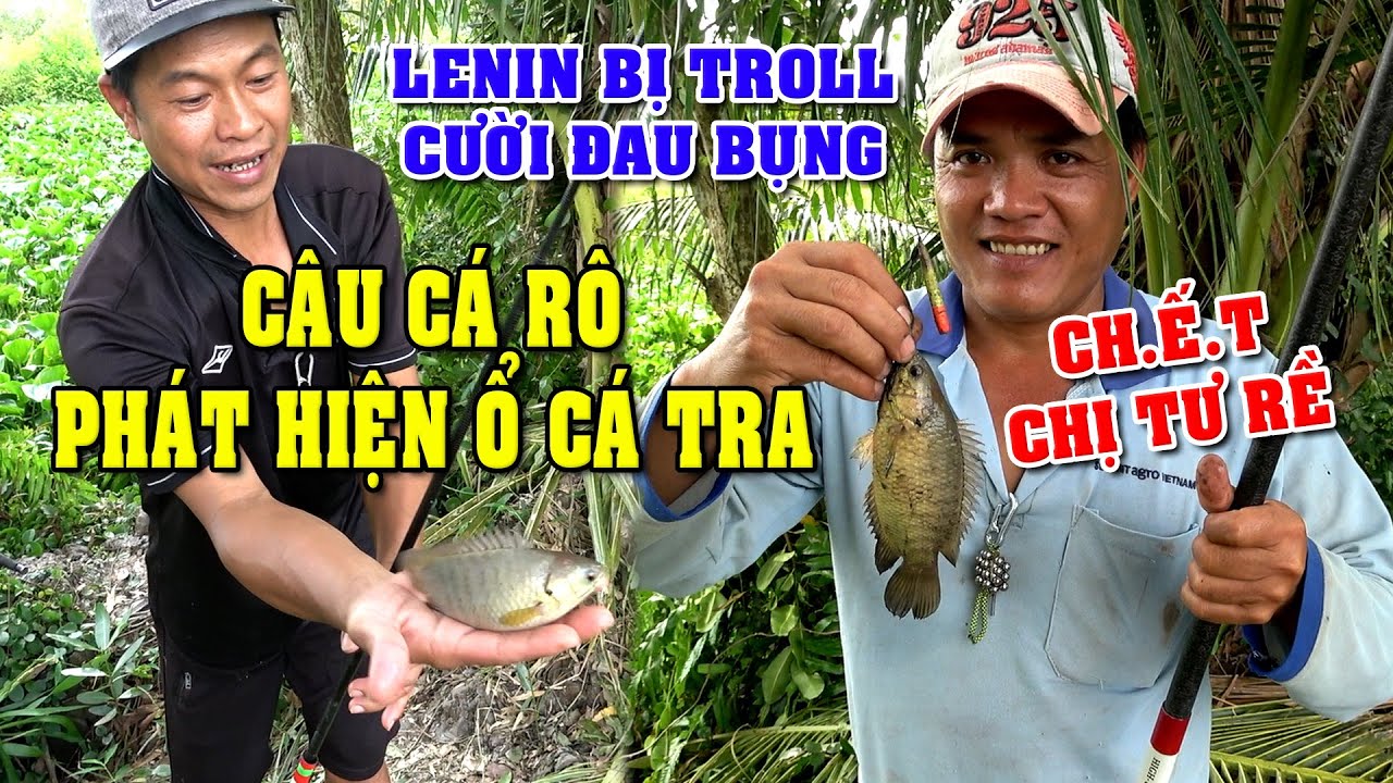 Câu Cá Rô Bắt Cá Làm Lẩu Chua Trái Giác, Lenin Bị Troll Ớt Cười Đau ...