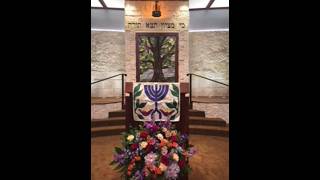 Hadassah Shabbat Evening Service  - February 20, 2026