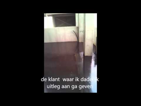 Voorvertoning van de Glansbeton-video Kim koi’s in Boortmeerbeek