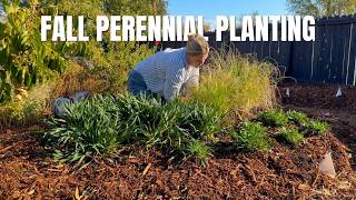 Planting Week Day 2 🪴 Planting Perennials for My Great Dixter-Inspired Garden