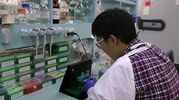 Dr Jaesung Peter Choi and Dr Xiangjian Zheng speak about how Ponatinib successfully targets CCM