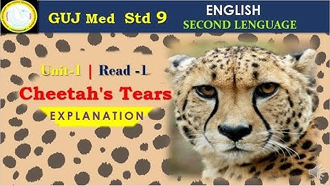 Std 9 || Guj Med || Eng Text || Unit 1--Read 1 || Cheetah
