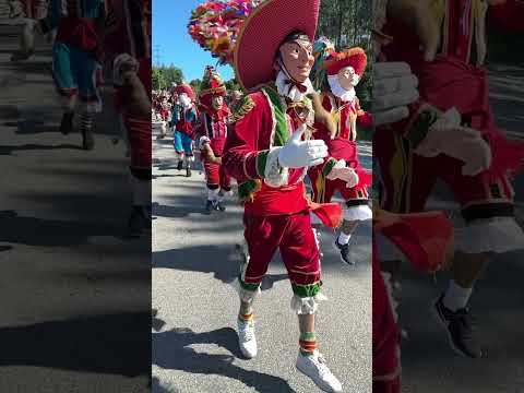 Short video