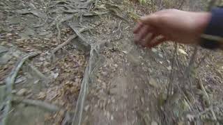 Running to the Top of Devil's Backbone