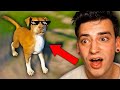 I RESCUED THE BEST DOG EVER. (Animal Shelter Simulator)