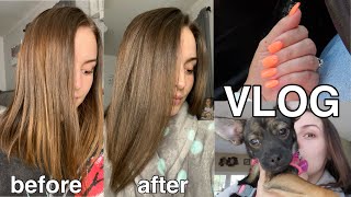 VLOG | coloring my hair at home, getting nails + lashes done, my new puppy \& more