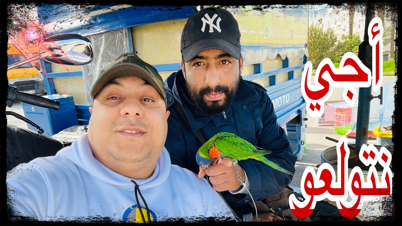 سوق طيور🦜 بمدينة مكناس🇲🇦 أجي نتولعو كاملين🤩 تاريخ :1/2/2026الهاتف:0619227462