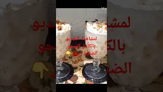 ديسير او تحلية  روعة و منعشة