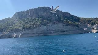 Кемер экскурсия #birds #summer #sea #seagulls #island #kemer #turkey