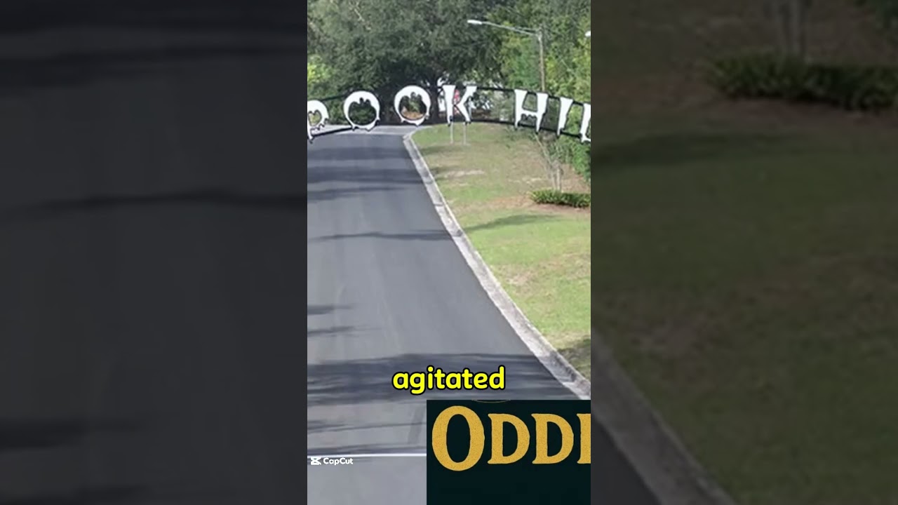 We Tested Florida's Spook Hill Supernatural Phenomenon  