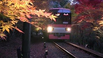 もみじのトンネルライトアップ（2017/11/17撮影）