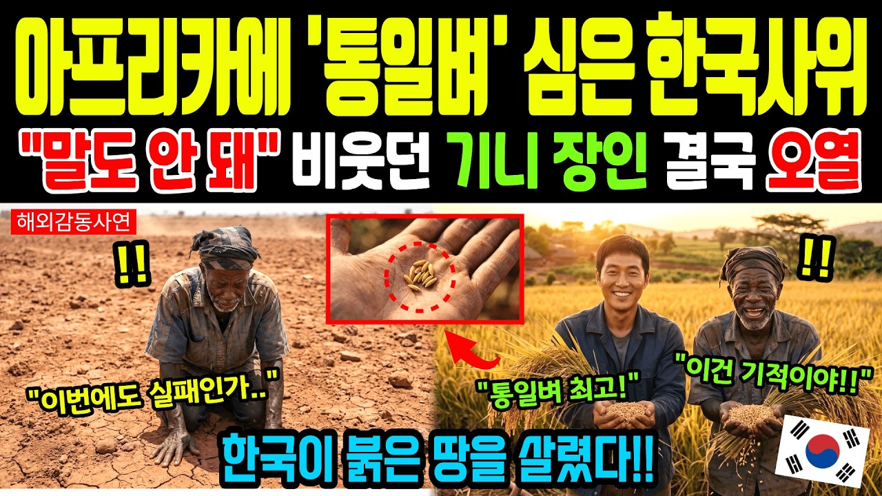 [해외감동사연] 