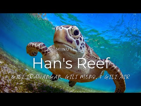 3-Minute Reefs: Han's Reef (Gili Islands) #3minutereefs #giliislands #scubadiving