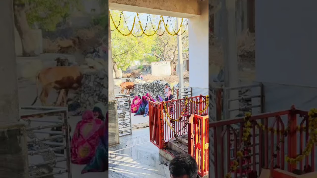 #श्री देवनारायण भगवान के नाम#नामेरी उदय लाल जी गुर्जर बंजरिया ❤️❤️🙏🙏👍