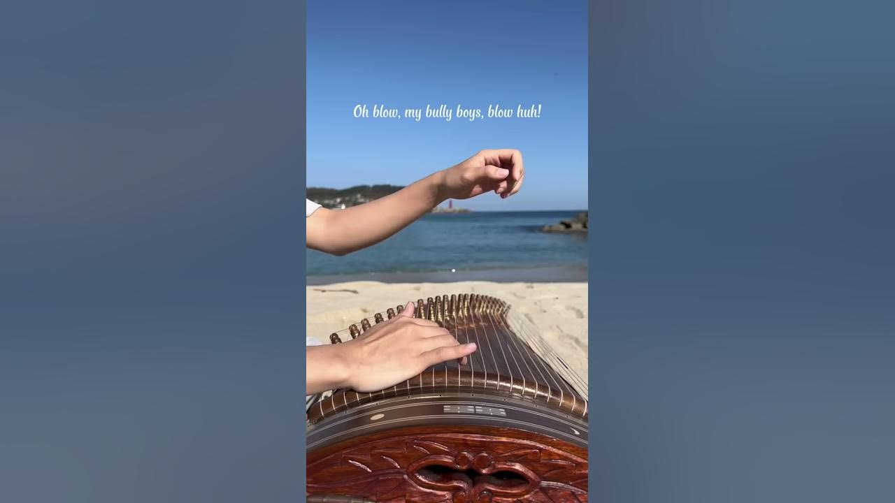 바다에서 선장의 노래 Wellerman 가야금버전 🌊